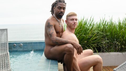 Phat rabbit killer videos